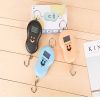 LCD Mini Digital Scales; Electronic Hanging Luggage Scale; Load 50Kg; 0.01Kg Pocket Weighting Fishing Scale Balance